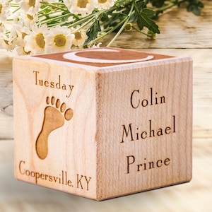 Personalized Baby Blocks Wooden Name Blocks New Baby Gift Safari Nursery Decor Grandma Present