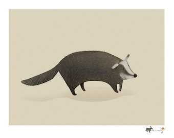 Baby badger