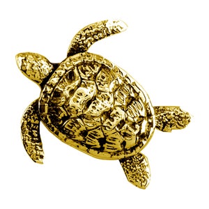 3D Sea Turtle Charm in 14k Yellow Gold with Black