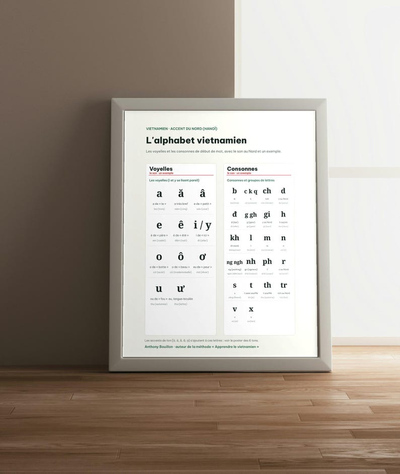 May include: A framed educational poster titled L'alphabet vietnamien, featuring a structured chart of Vietnamese vowels and consonants with phonetic examples. The white print displays black text organized into two columns.