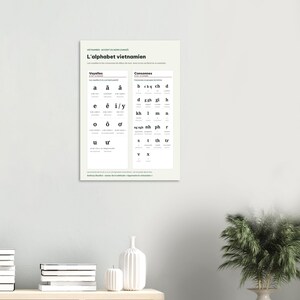 Vietnamese Alphabet Chart Poster, French Edition, Learn Vietnamese Wall Art, Vowels Consonants Northern Accent, Vietnam Gift, A3 or 50x70 image 5