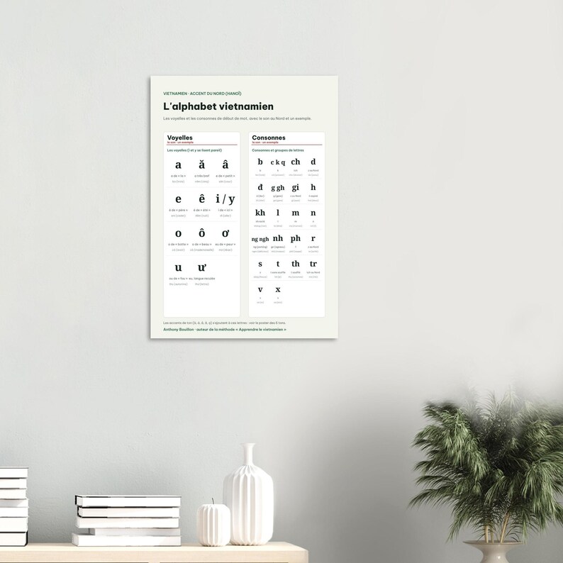 Vietnamese Alphabet Chart Poster, French Edition, Learn Vietnamese Wall Art, Vowels Consonants Northern Accent, Vietnam Gift, A3 or 50x70 image 5