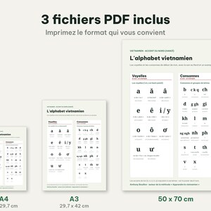 Op de afbeelding: Drie digitale educatieve posters met het Vietnamese alfabet, verdeeld in klinkers en medeklinkers. De tekst bevat '3 fichiers PDF inclus', 'L'alphabet vietnamien' en de formaten A4 (21 x 29,7 cm), A3 (29,7 x 42 cm) en 50 x 70 cm op een lichte achtergrond.