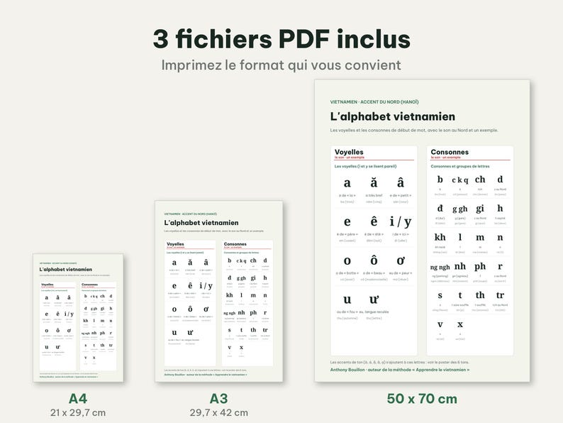 Op de afbeelding: Drie digitale educatieve posters met het Vietnamese alfabet, verdeeld in klinkers en medeklinkers. De tekst bevat '3 fichiers PDF inclus', 'L'alphabet vietnamien' en de formaten A4 (21 x 29,7 cm), A3 (29,7 x 42 cm) en 50 x 70 cm op een lichte achtergrond.