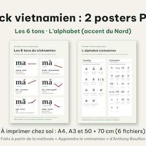 Op de afbeelding: Een digitale set van twee educatieve posters over de Vietnamese taal. De ene poster toont de zes tonen met voorbeelden, terwijl de andere het Vietnamese alfabet met klinkers en medeklinkers weergeeft. Tekst bevat Pack vietnamien : 2 posters PDF.