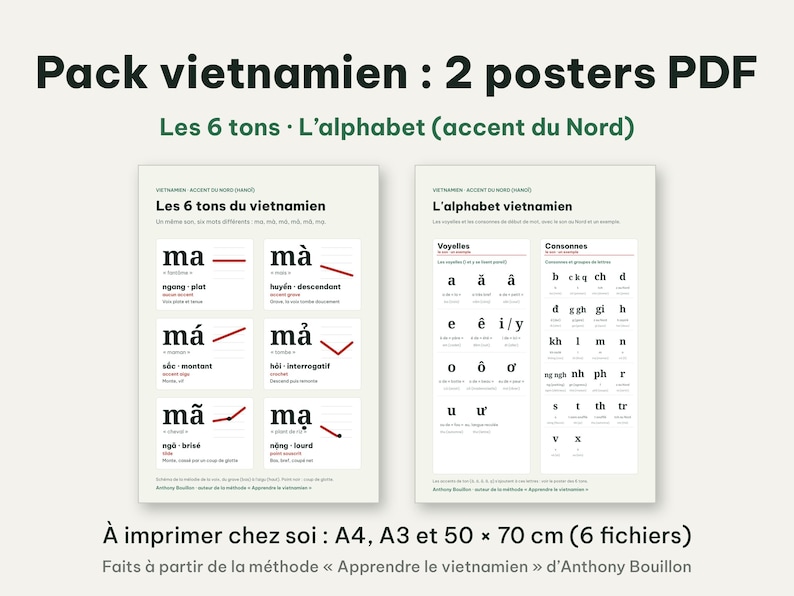 Op de afbeelding: Een digitale set van twee educatieve posters over de Vietnamese taal. De ene poster toont de zes tonen met voorbeelden, terwijl de andere het Vietnamese alfabet met klinkers en medeklinkers weergeeft. Tekst bevat Pack vietnamien : 2 posters PDF.