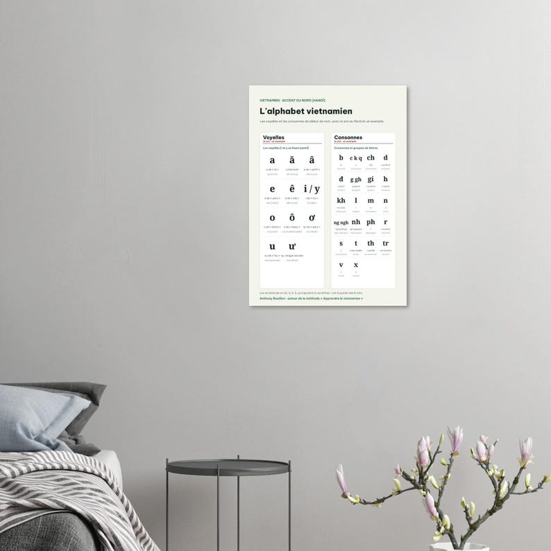 Vietnamese Alphabet Chart Poster, French Edition, Learn Vietnamese Wall Art, Vowels Consonants Northern Accent, Vietnam Gift, A3 or 50x70 image 3