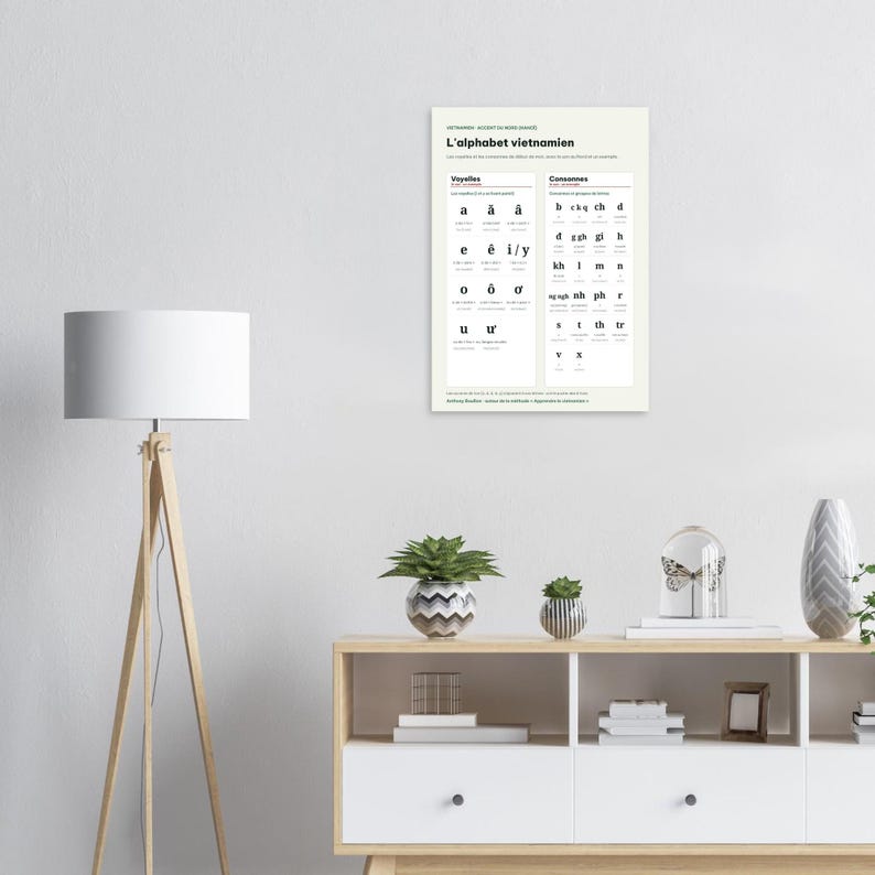 Vietnamese Alphabet Chart Poster, French Edition, Learn Vietnamese Wall Art, Vowels Consonants Northern Accent, Vietnam Gift, A3 or 50x70 image 2