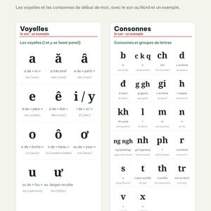 Op de afbeelding: Een educatieve poster getiteld L'alphabet vietnamien, met twee witte kolommen genaamd Voyelles en Consonnes. Het toont Vietnamese letters met hun fonetische klanken en voorbeelden in het Frans, gerangschikt in een gestructureerd raster.