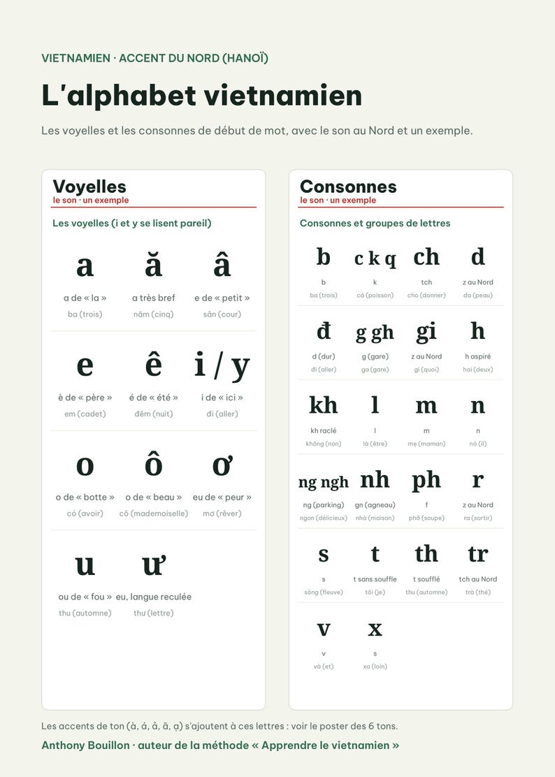 Op de afbeelding: Een educatieve poster getiteld L'alphabet vietnamien, met twee witte kolommen genaamd Voyelles en Consonnes. Het toont Vietnamese letters met hun fonetische klanken en voorbeelden in het Frans, gerangschikt in een gestructureerd raster.