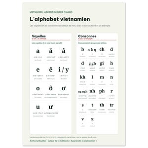 Vietnamese Alphabet Chart Poster, French Edition, Learn Vietnamese Wall Art, Vowels Consonants Northern Accent, Vietnam Gift, A3 or 50x70 image 4