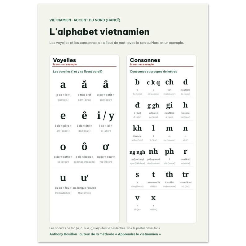 Vietnamese Alphabet Chart Poster, French Edition, Learn Vietnamese Wall Art, Vowels Consonants Northern Accent, Vietnam Gift, A3 or 50x70 image 4