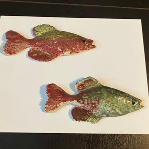 May include: Two ceramic fish sculptures with red, green, and white paint. The fish are facing right and have a realistic appearance.
