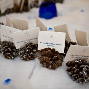 Place Card, Escort Card - Themed Wedding Winter Wonderland, Beach, Nautical, Elegant - Personalized with Colors, Name, & Table