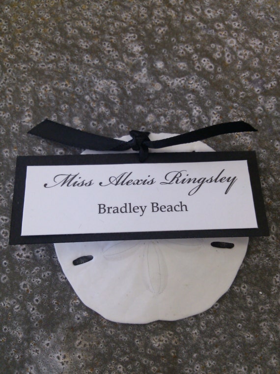 Place Card With Sand Dollar Beach Wedding Double Layer Etsy