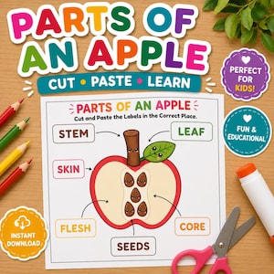 以下が含まれることがあります： Parts of an Appleと題された印刷可能な教育用アクティビティシート。中央には、茎、葉、皮、果肉、芯、種が描かれたリンゴの断面図があり、ラベルを切り取って貼り付けるためのテキスト指示が含まれています。