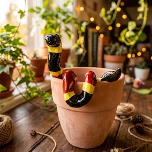 Adoptez un serpent en corail d'argile - Un cadeau décoratif idéal pour vos pots, pour votre petite amie/petit ami !