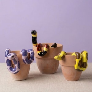Personalized Snake Pot Decorator/Hipper - Pick Color, Shape and Face - Customized Clay Snake From Photo Ring