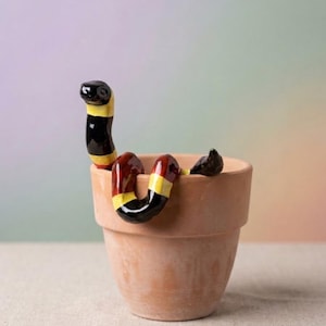 Könnte beinhalten: Ein Terrakotta-Blumentopf mit einer Keramik-Schlangenfigur, die über den Rand drapiert ist. Die Schlange hat eine glänzende Oberfläche mit abwechselnden Bändern in Schwarz, Gelb und Rot. Der Topf hat eine einfache, unglasierte, hellbraune Oberfläche.