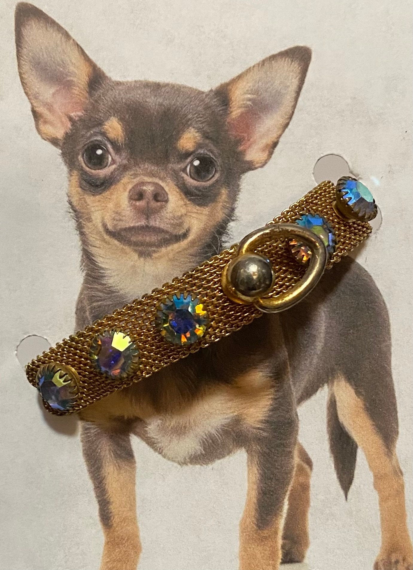 Chihuahua Small Dog Gold Chain Collar Gold Dog Collar Puppy Zircon