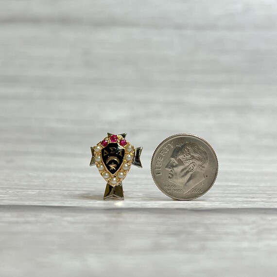 Antique 10k Gold Delta Sigma Lambda Pin: Seed Pea… - image 6