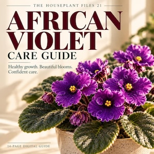 Peut inclure: Un guide numérique de 14 pages intitulé The Houseplant Files 21 African Violet Care Guide. Le texte indique Healthy growth. Beautiful blooms. Confident care. L'image montre une violette africaine en pot avec des fleurs violettes et des cœurs jaunes.