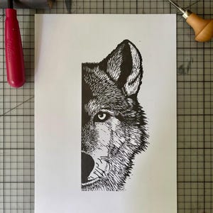 Op de afbeelding: Een zwart-witte linosnede op wit papier met de rechterhelft van een wolvengezicht. De gedetailleerde illustratie legt de textuur van de vacht, het puntige oor en de geconcentreerde blik van het oog van het dier vast in contrastrijke inkt.