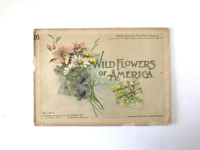 Vintage 1894 Wild Flowers of America Vol. 1 No. 16 the Etsy