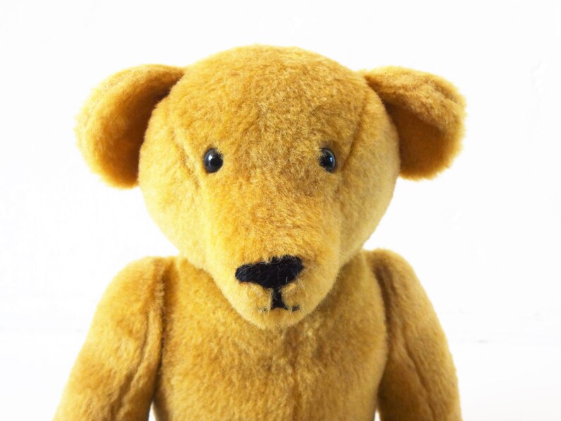 Vintage Growler Teddy Bear Stuffed Animal Inventory: Ch. | Etsy