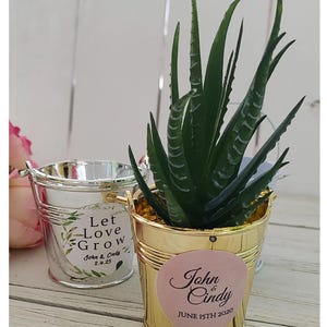 mini bucket wedding favor candy pail custom mini bucket succulent favor gold candy wedding favor let love grow succulent wedding favors