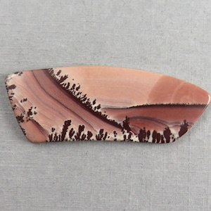 Peut inclure: Une pierre polie de forme irrégulière, mélangeant des teintes roses, brunes et blanches. La pierre présente un motif unique de formations brun foncé en forme d'arbres le long d'un bord, créant une esthétique naturelle et terreuse.