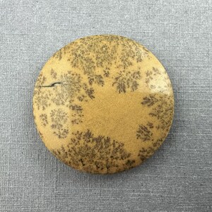 May include: A round, tan-colored stone with a unique pattern of dark brown, tree-like inclusions. The stone has a smooth surface and a natural, organic appearance. The stone is set against a gray background.