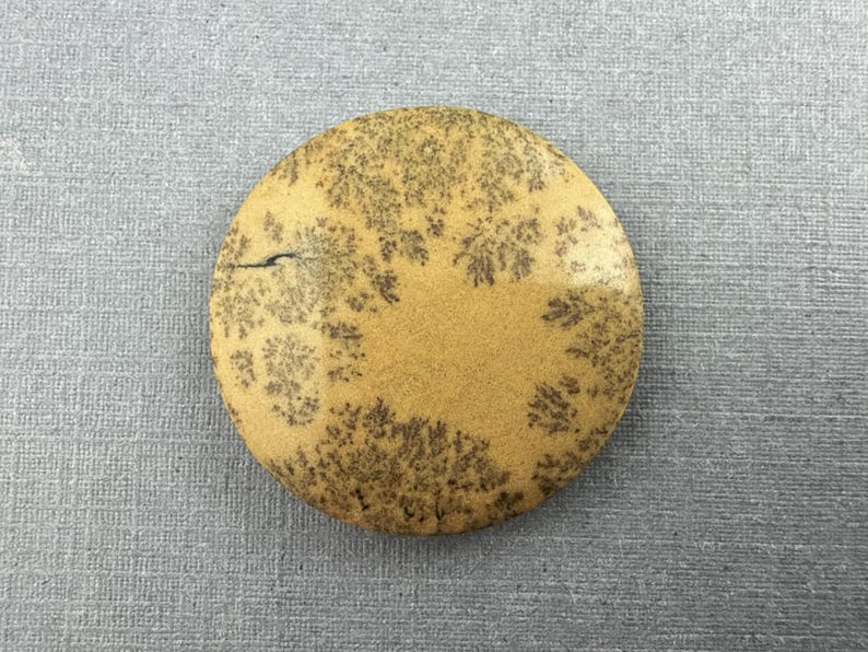May include: A round, tan-colored stone with a unique pattern of dark brown, tree-like inclusions. The stone has a smooth surface and a natural, organic appearance. The stone is set against a gray background.