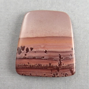 May include: A polished, rectangular stone with rounded top edges. The stone features a layered pattern of colors, including light pink, orange, and deep reddish-brown. Dark brown, tree-like patterns are visible near the bottom.
