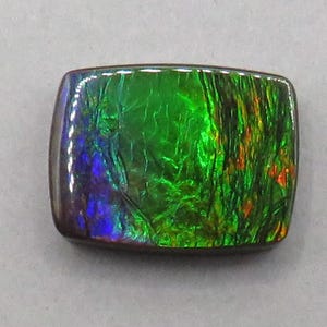 Canadian Ammolite Doublet | Natural Ammonite Fossil Cabochon | AC103