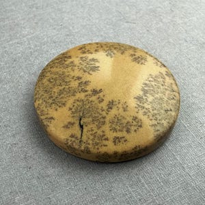 May include: A round, tan-colored stone with a unique pattern of dark brown, tree-like markings. The stone has a smooth surface and a crack running down the center. The stone is set against a gray background.