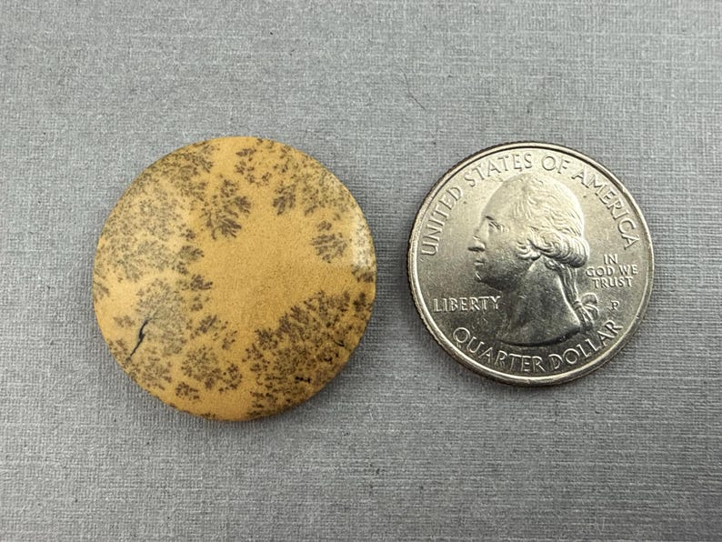 May include: A round, tan-colored stone with dark brown, tree-like patterns. A U.S. quarter is next to the stone for size comparison. The stone has a natural, organic appearance and is set against a gray background.
