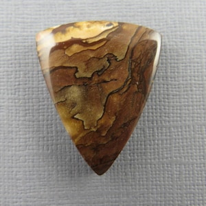 May include: A triangular, polished stone with a unique pattern of brown, tan, and black swirls. The stone has a glossy finish and a smooth, rounded edge. The shape is reminiscent of a guitar pick.