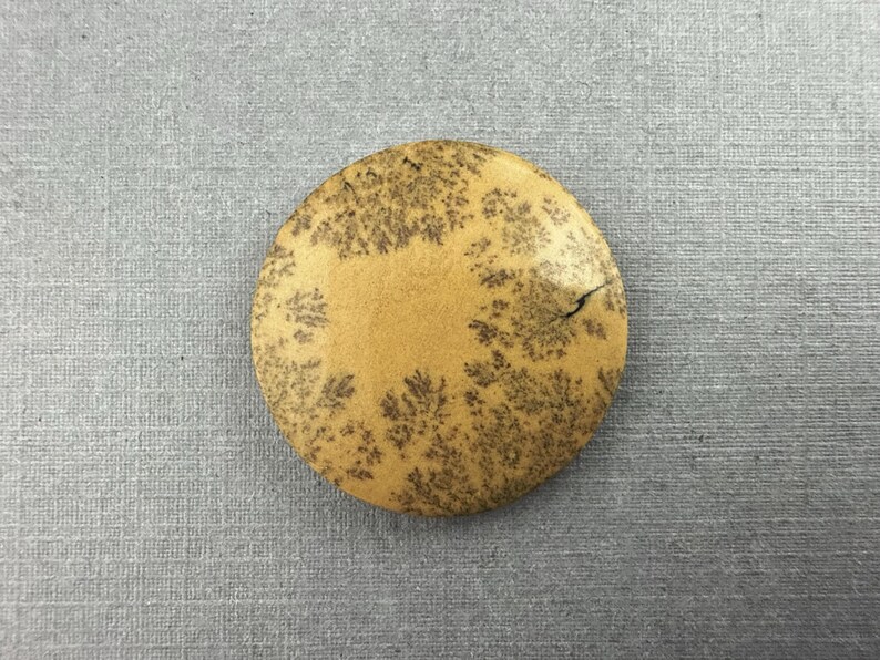 May include: A round, tan-colored stone with a unique pattern of dark brown, tree-like inclusions. The stone has a natural, organic appearance and a small crack on the surface. The stone is set against a gray background.