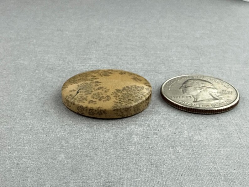 May include: A round, tan stone with a unique pattern of brown markings, next to a U.S. quarter coin. The stone is approximately 1 inch in diameter. The quarter coin is included for size comparison.
