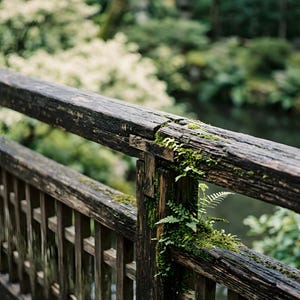 Puede incluir: Una barandilla de puente de madera marrón oscuro desgastada con un diseño de listones, que presenta parches de musgo verde vibrante y pequeñas frondas de helecho delicadas que crecen directamente de la superficie texturizada y envejecida.