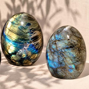 May include: Two polished labradorite stones shaped like eggs. The larger stone on the left displays deep blue and golden yellow iridescent flashes. The smaller stone on the right features a prominent blue shimmer with dark grey and black veining.