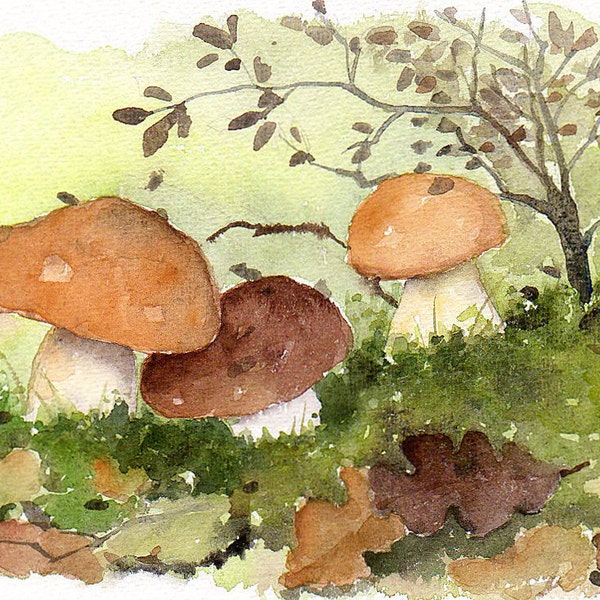 Wild mushrooms, original watercolor painting, edible mushrooms, mushroom painting, nature, autum spirits, fungi, woodland painting, fall