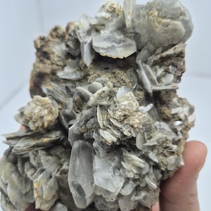 Può includere: Un esemplare minerale caratterizzato da un ammasso di cristalli traslucidi grigio pallido a forma di piastra, incastonati in una matrice ruvida e terrosa di colore bruno-grigiastro. La struttura cristallina presenta bordi affilati.