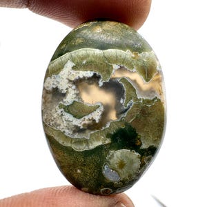 Può includere: Una pietra preziosa lucidata di forma ovale che presenta un mix di toni verde bosco profondo, oliva e grigio traslucido. La pietra mostra intricate inclusioni bianche simili a muschio e motivi circolari floreali sulla superficie.