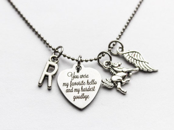 You Were My Favorite Hello and My Hardest Goodbye Stainless Steel Pet Necklace 