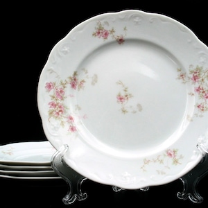 May include: White porcelain plates with a delicate floral pattern in pink and green. The plates have a scalloped edge and are displayed on a clear stand, with a stack of plates visible in the background. The plates are a classic dinnerware set.