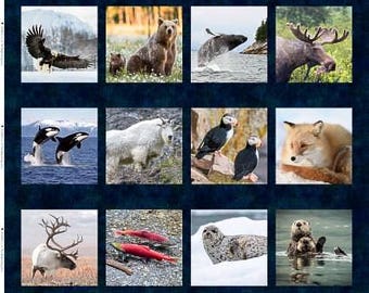 Alaska! Wild Life Panel