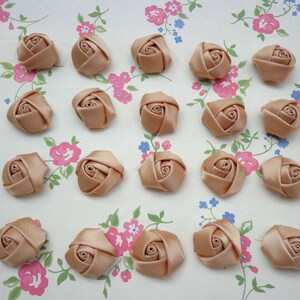 SALE-- 20 pcs Champagne  Elegant Rosette Satin Flowers 25X10mm