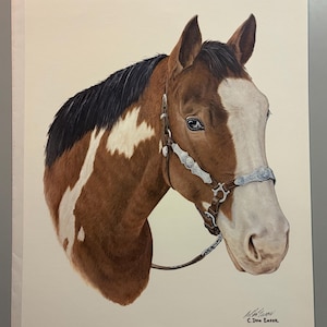 May include: A detailed art print of a brown and white pinto horse head, featuring a black mane, a white blaze on the face, and a leather bridle with silver accents. The print includes the text The Pinto and the signature of artist C. Don Emsor.